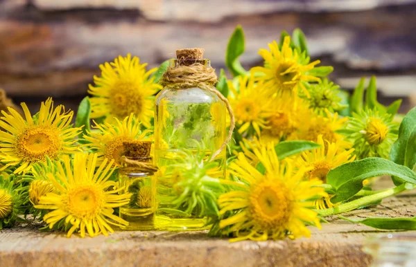 Elecampagne Flowers + Bottles